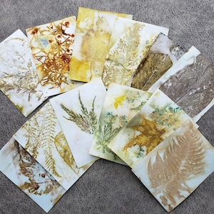 Eco Printed Papers, Paper Kits, Hand Printed Papers, Wild Crafting, Eco Friendly image 7