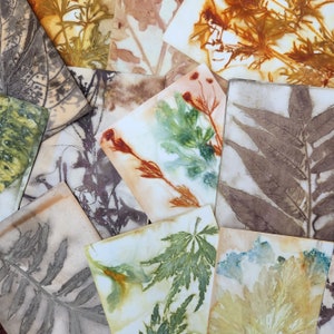 Eco Printed Papers, Paper Kits, Hand Printed Papers, Wild Crafting, Eco Friendly
