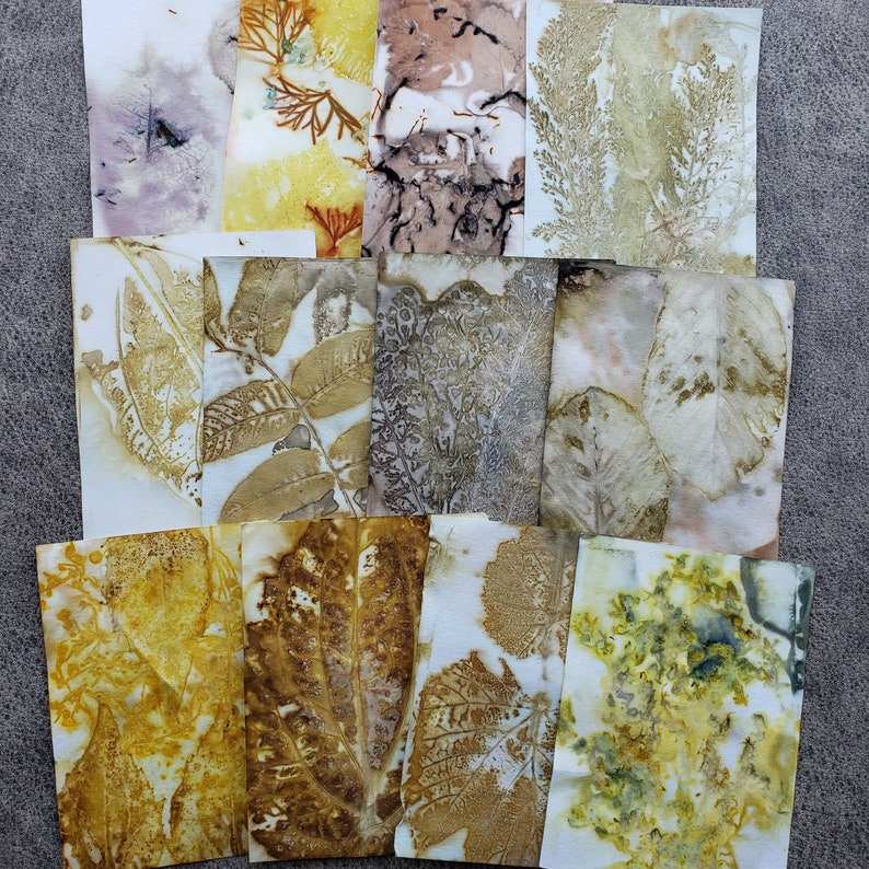 Eco Printed Papers, Paper Kits, Hand Printed Papers, Wild Crafting, Eco Friendly image 2