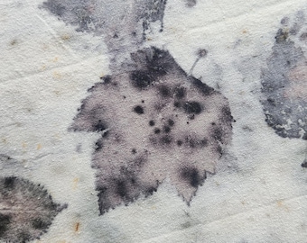 Eco Printed Fabric, Silk Noil, Silk Fabric