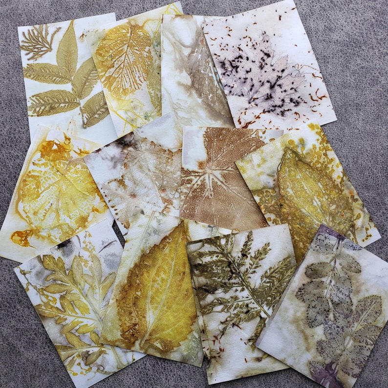 Eco Printed Papers, Paper Kits, Hand Printed Papers, Wild Crafting, Eco Friendly image 5