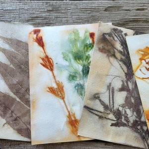 Eco Printed Papers, Paper Kits, Hand Printed Papers, Wild Crafting, Eco Friendly image 10