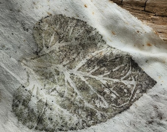 Eco Printed Fabric, Silk Noil, Leaf Prints
