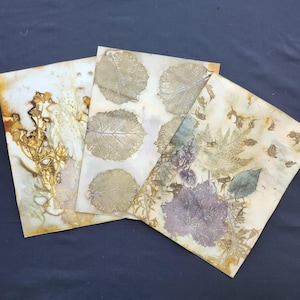 Eco Printed Paper, Eco Printed Cardstock, Paper Crafting