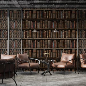 Medieval Vintage Bookshelf Wallpaper, Peel and Stick Removable Mural, Non Woven Wallpaper, Library Mural, Dark Academia Decor, Study Room