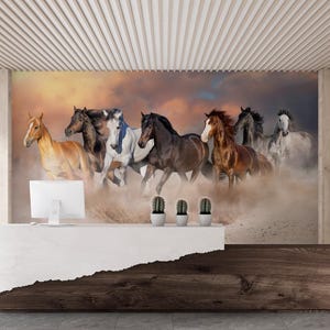 May include: A group of seven horses running through a dusty field at sunset. The horses are brown, white, and black, and they are all running in the same direction. The sky is a mix of orange, pink, and purple.