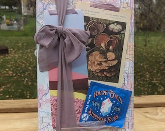 Surprise Book - GOOD BOOK - Blind Date with a Book - Gift or Self Care for Readers