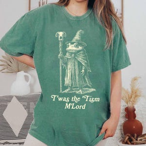 T'was The 'Tism M'lord Shirt, Funny Frog Wizard Meme, Neurodiversity Shirt, Autism Warrior, Audhd Diagnosis, Weirdcore Shirt, Unhinged Shirt