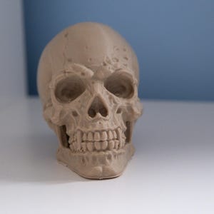 Vampire Skull