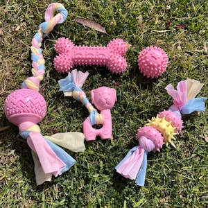 Dog Chew Toy Set for Puppies and Small Dogs | Dental Cleaning | Durable TPR rubber with Cotton Rope Toy Set | Puppy Gift Set