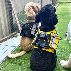 Military Tactical Dog Harness with backpack | no-pull adjustable harness | Harness for Small to Medium dogs