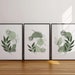 Set of 3 Boho Wall Prints, Boho Wall Art, Sage Green Wall Prints, Boho ...