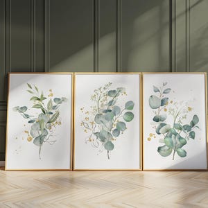 Può includere: Tre stampe artistiche botaniche incorniciate con eucalipto ad acquerello e altra vegetazione. L'opera d'arte ha una cornice dorata ed è ambientata contro un muro verde e un pavimento in legno. Le stampe hanno uno sfondo bianco con accenti verdi e dorati.