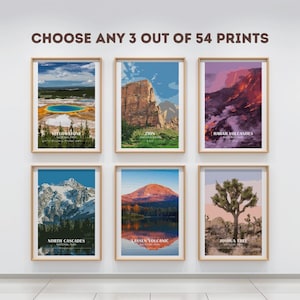 National Park Poster 3er-Set – Wählen Sie Ihre Lieblings-US-Parks – Vintage Style Reisedrucke, Park-Wandkunst, Naturlandschaftsdekor