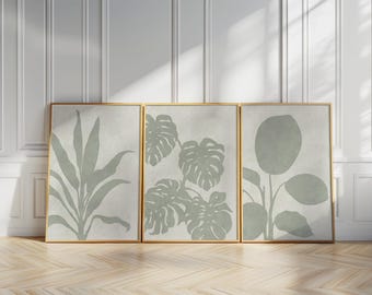 May include: Three framed botanical prints featuring stylized illustrations of plants in shades of green and gray. The prints are displayed against a white wall with a wooden floor. The frames have a gold finish.