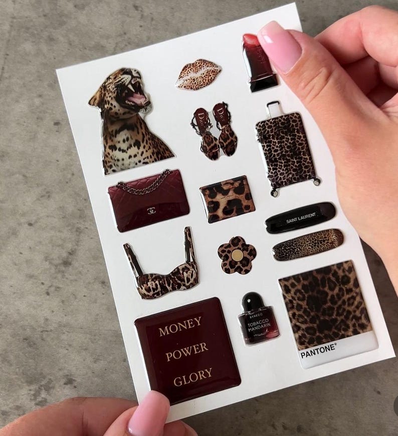 Aesthetic Stickers Pack,pinterest Sticker,leopard Print Sticker,stylish
