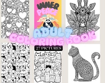 Libro da colorare per adulti alla moda: 27 pagine stampabili per alleviare lo stress (download digitale)