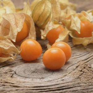 May include: Close-up of several orange-colored Cape gooseberries, some still encased in their papery husks. The fruits are round and smooth, resting on a weathered, wooden surface. The husks are a light tan color.