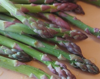 May include: Close-up of fresh asparagus spears. The spears are green with purple tips, and are arranged in a close-up shot. The image is well-lit, and the colors are vibrant. The asparagus appears to be freshly harvested.