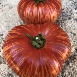 May include: Two heirloom tomatoes with a vibrant red and orange striped pattern. The tomatoes have a slightly flattened shape and green stems, showcasing their fresh, natural appearance. The tomatoes are a visually appealing food item.