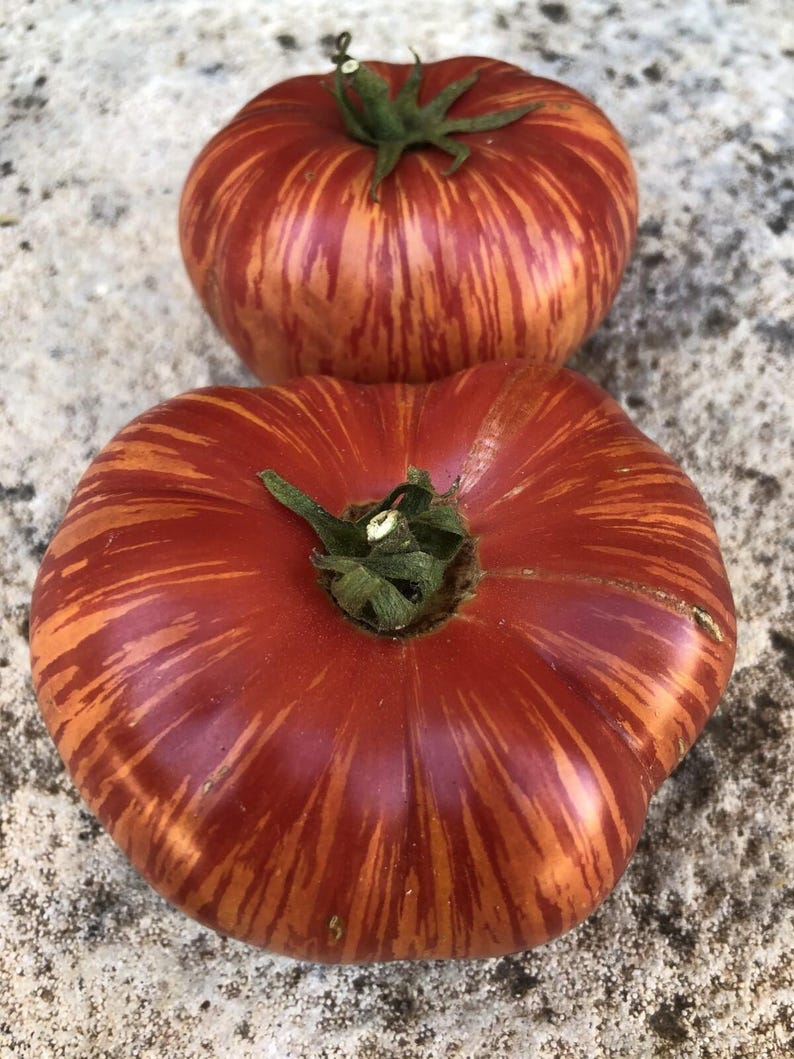 May include: Two heirloom tomatoes with a vibrant red and orange striped pattern. The tomatoes have a slightly flattened shape and green stems, showcasing their fresh, natural appearance. The tomatoes are a visually appealing food item.