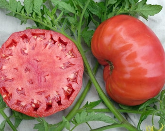 May include: A close-up of two tomatoes. One is sliced in half, revealing a deep pink interior with seeds. The other is a whole, irregularly shaped tomato. Green stems and leaves surround the tomatoes, suggesting a fresh harvest.