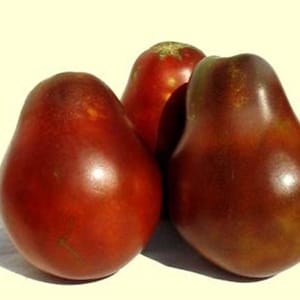 May include: Three ripe, pear-shaped tomatoes with a deep red and brown color. The tomatoes have a smooth, shiny skin and are clustered together against a light yellow background. The tomatoes are a fresh, natural food.