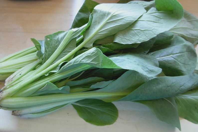 May include: A close-up of fresh green leafy vegetables, likely bok choy or a similar Asian green. The leaves are a vibrant green with visible veins, and the stems are a lighter green. The vegetables are arranged on a light-colored surface.