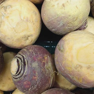 May include: Close-up of a pile of fresh turnips. The turnips have a round shape with a creamy yellow top and a deep purple bottom. The vegetables are in various sizes and are ready to be used in cooking.