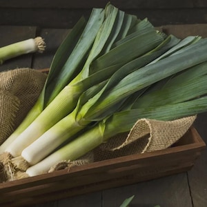 May include: Fresh leeks with green leaves and white stalks are arranged in a wooden crate lined with burlap. One leek rests separately in the background. The vegetables are displayed on a dark wooden surface.