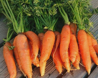 May include: A bunch of freshly harvested carrots with vibrant orange roots and green leafy tops. The carrots are arranged on a weathered wooden surface, showcasing their natural colors and textures. The image highlights the freshness of the produce.