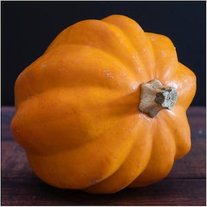 May include: A vibrant orange acorn squash with a ridged exterior and a small, textured stem. The squash is set against a dark background, highlighting its bright color and unique shape. This seasonal vegetable is a popular ingredient for fall recipes.