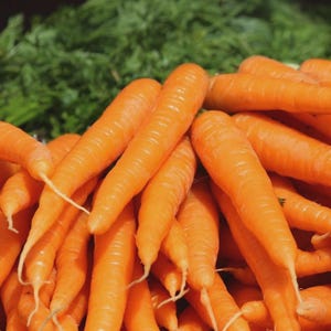 May include: A pile of fresh, bright orange carrots with green leafy tops. The carrots are of varying sizes and shapes, with visible root hairs. The image is well-lit, highlighting the vibrant colors and textures of the vegetables.