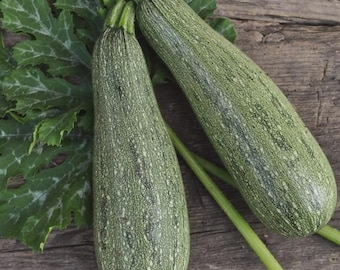 May include: Two fresh zucchini with green leaves on a rustic wooden surface. The zucchini are elongated, with a speckled green skin. The leaves are large and textured, and the overall image conveys a sense of freshness and natural produce.
