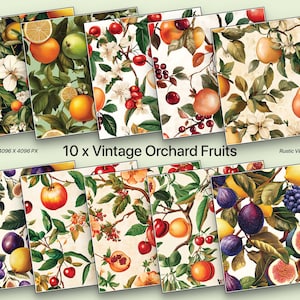 Könnte beinhalten: Zehn digitale Papierdesigns mit Vintage-Illustrationen verschiedener Früchte, darunter Zitronen, Orangen, Kirschen, Birnen, Feigen und Granatäpfel. Die Designs sind im rustikalen Vintage-Stil gehalten und perfekt zum Basteln und Scrapbooking.