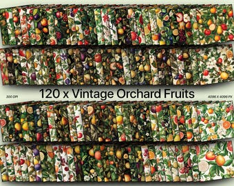 120 X Vintage Obstgarten Früchte