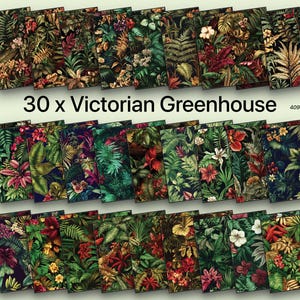 30 X Victorian Greenhouse