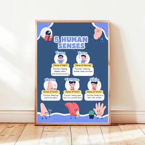Könnte beinhalten: Gerahmtes Lehrposter mit der Darstellung der "5 menschlichen Sinne". Es zeigt Cartoon-Bilder von Augen, Ohren, Nase, Zunge und Haut mit Beschreibungen ihrer Funktionen. Das Poster hat einen blauen Hintergrund und ist an einer Wand angebracht.