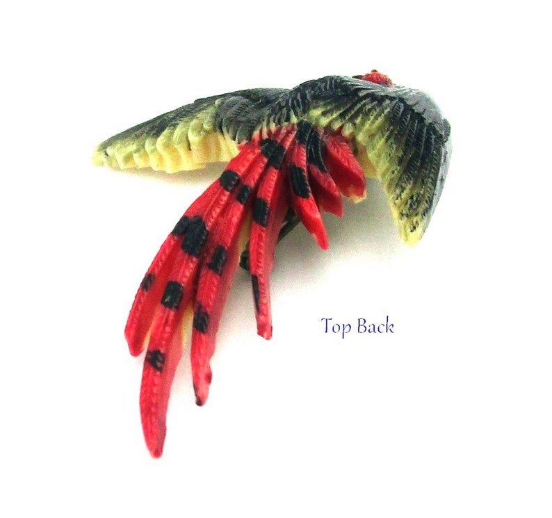 Celluloid Bird Pheasant Brooch 1950 circa