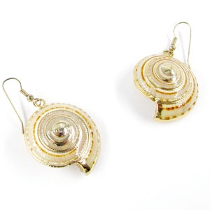 May include: A pair of seashell-shaped earrings. The earrings feature a spiral design with alternating bands of cream and brown, outlined in gold. The earrings have a gold-colored hook for pierced ears. The background is white.