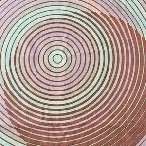 May include: A close-up of a fabric with a circular pattern of concentric circles in shades of brown, pink, and blue.
