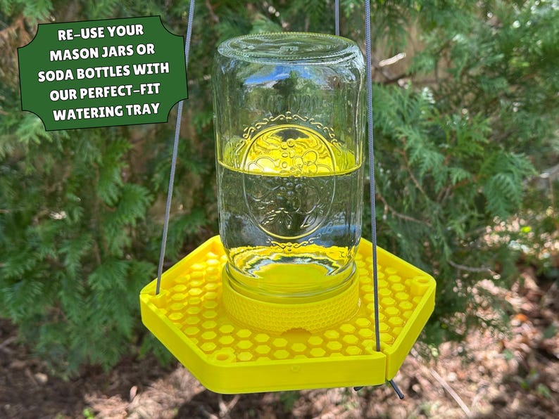 Bee Watering Tray - Pollinator Hydration Station - Etsy