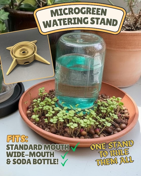 Mason Jar Microgreen Auto-Watering Stand, Universal Fit