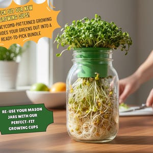 Microgroene groeibeker: set van 4 inch