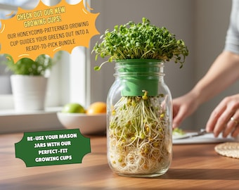 Microgroene groeibeker: set van 4 inch