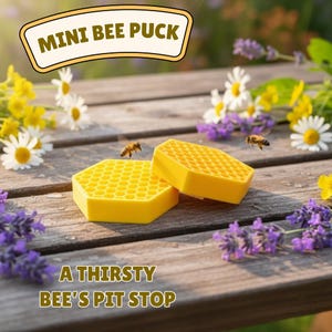 Può includere: Due dischi esagonali giallo brillante con una trama a nido d'ape sulla parte superiore. Il testo MINI BEE PUCK appare in alto e A THIRSTY BEE'S PIT STOP in basso. I dischi sono posizionati su una superficie in legno con fiori bianchi e gialli.