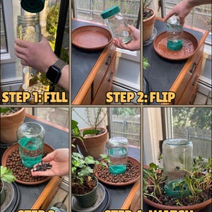 May include: A clear glass jar with a dark green plastic lid used as a plant watering and sprouting system. The six-panel image shows the process: filling the jar with water, flipping it into a terracotta tray, adding seeds, and watching sprouts grow.