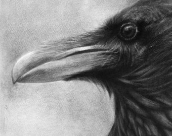 Portrait of a raven in profile, animal portrait, fine art print of the original hand-drawn with oil drybrush, corvids, Corvus, raven image