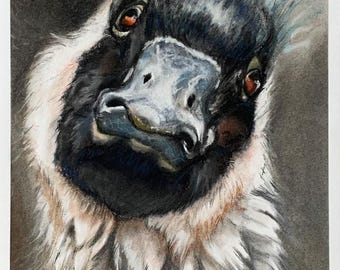 Portrait of a Hawaiian goose (Nene), fine art print of my pastel drawing, animal portrait - art print / wall art for bird fans