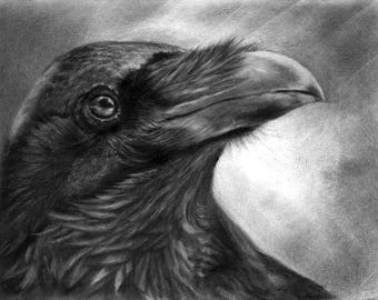Portrait of a raven in half-profile, fine art print from my original drawing, art print wall art for raven enthusiasts